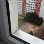 Prasklé sklo vinou termálního šoku